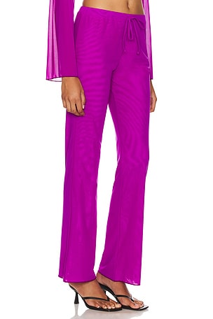 Gonza Wide Leg Pants in Purple