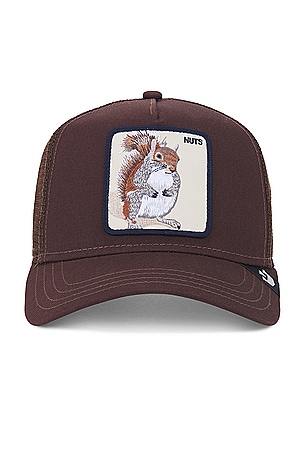The Nuts Squirrel Hat Goorin Brothers