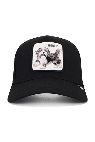 The Bestie Dog Hat Goorin Brothers