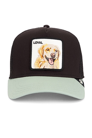 The Loyal Dog Trucker Hat Goorin Brothers