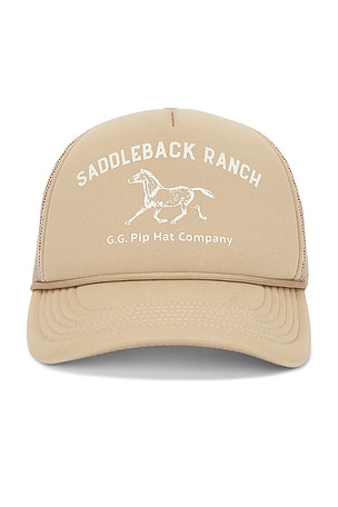 SOMBRERO SADDLEBACK RANCH Gigi Pip