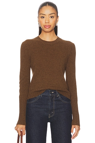 Shrunken Crew Guest In Residence