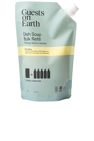 Dish Soap Bulk Refill Guests on Earth
