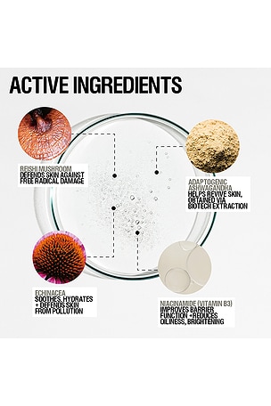 Grown Alchemist Skin Renewal Toner in Beauty: NA