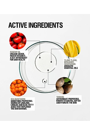 Grown Alchemist Restorative Body Oil in Beauty: NA