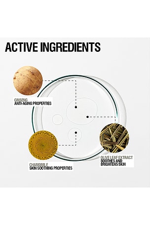 Grown Alchemist Balancing Toner in Beauty: NA