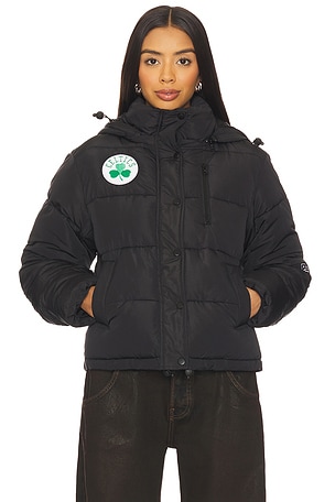 Hype and Vice Boston Celtics Puffer Jacket in Black