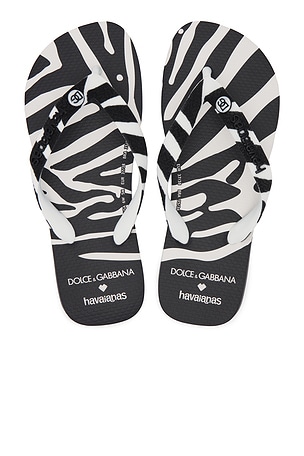 X Dolce & Gabbana Zebra Sandal Havaianas