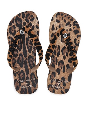 X Dolce & Gabbana Leopard Sandal Havaianas