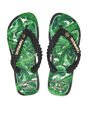 X Dolce & Gabbana Banano Sandal Havaianas