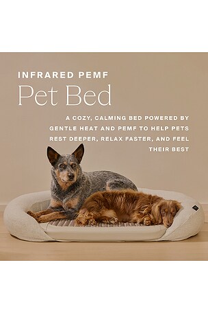 HigherDOSE Infrared PEMF Large Pet Bed in Beauty: NA