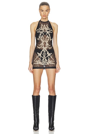 Feather Lace Mini Dress HAELO