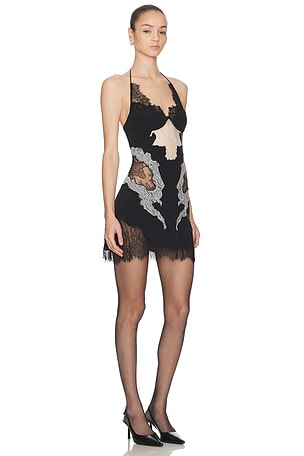 HAELO Lace Collage Dress in Black