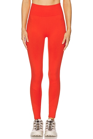 Sophia Legging Halfdays