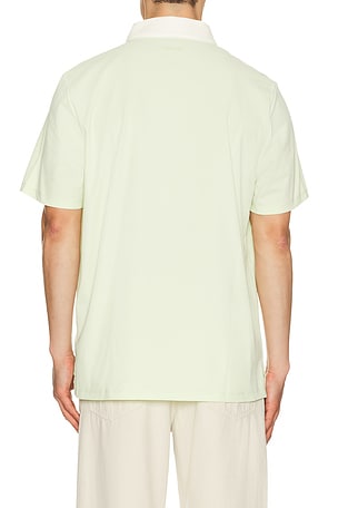 HEAD Golf Signature Polo in Sage