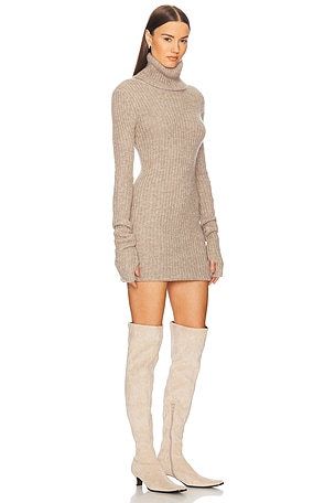 Helsa Lauren Mini Knit Dress in Beige