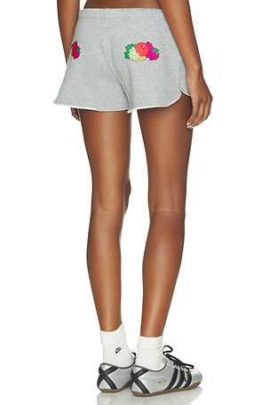 x Fruit Of The Loom Fruity Shorts HOMMEgirls
