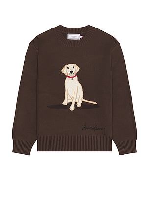 The Labrador Sweater House of Sunny