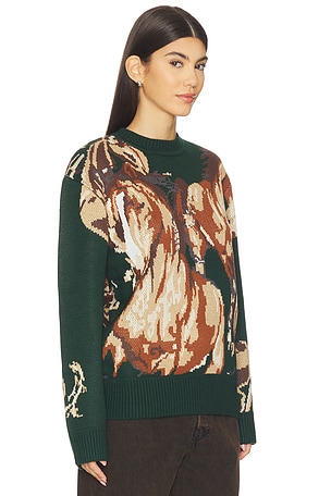 House of Sunny Wild Horses Sweater in Green