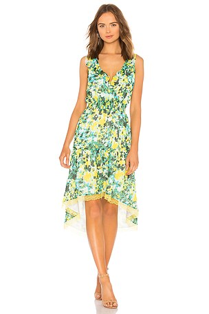 x REVOLVE Rita Dress