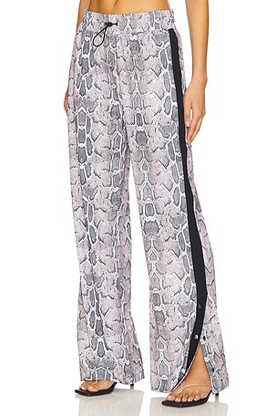 Alba Pant Heroine Sport