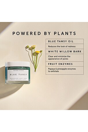 Herbivore Botanicals Blue Tansy Wet Mask.