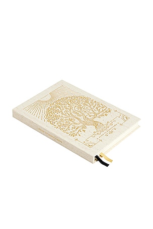 Intelligent Change Notes to Mindfulness in Cream
