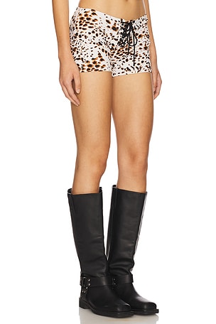 Indah Ivan Printed Lace Up Booty Short in Cream,Brown