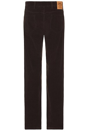 Iron & Resin Saguaro Pant in Brown