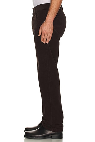 Saguaro Pant Iron & Resin