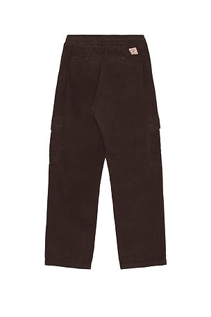 Iron & Resin Wilson Pant in Brown