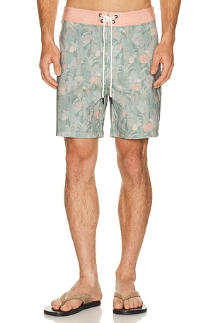 Cactus Boardshort Iron & Resin
