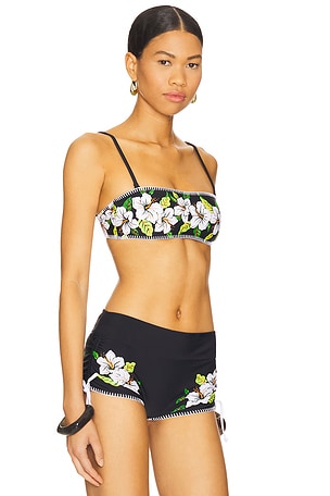It's Now Cool Bandeau Top in Black,Green