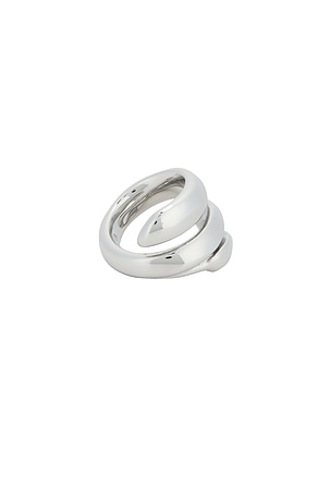 Jenny Bird Sees Ring in Metallic Silver