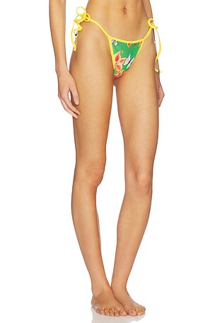 Juliet Johnstone Painted Lady Bikini Bottom in Green