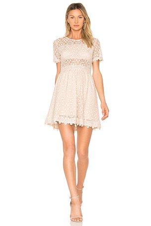 J.O.A. Lace Fit & Flare Dress in Blush | REVOLVE J.O.A. Lace Fit & Flare Dress in Blush | REVOLVE