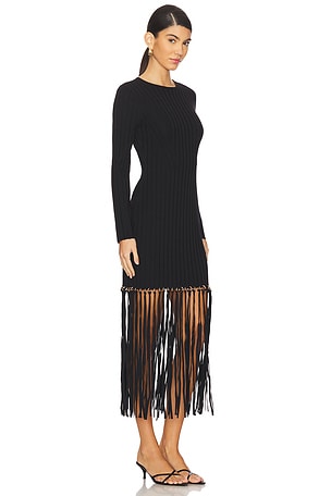 SIMKHAI Sharron Maxi Fringe Dress in Black