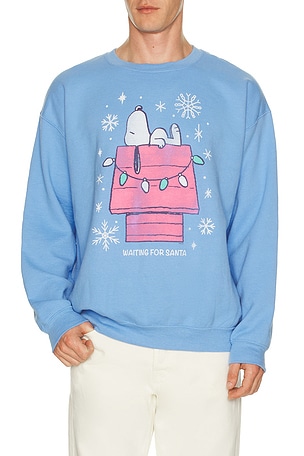 Snoopy Waiting For Santa Sweatshirt Junk Food