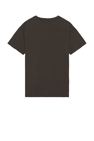 Junk Food Lynyrd Skynyrd Since 1974 Tee in Brown