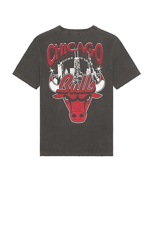 Bulls Chicago Vintage Tee Junk Food