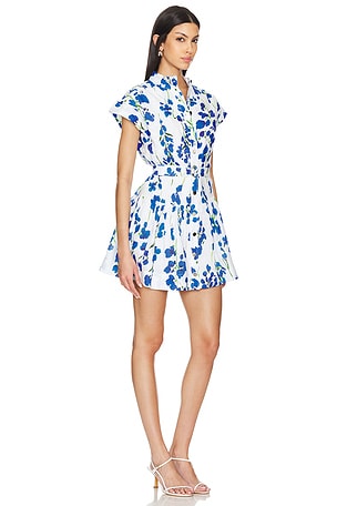 Karina Grimaldi Zelie Dress in Multi