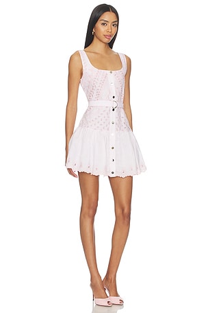 Karina Grimaldi Penelope Embroidered Mini Dress in Pink