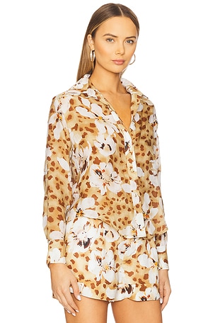 Karina Grimaldi Helen Print Top in Tan,Brown