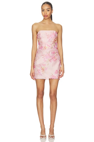 Katie May Roux Dress in Pink