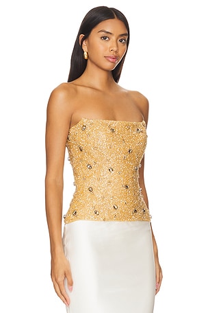 Khanums Mesh Strapless Top in Metallic Gold