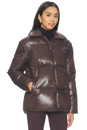 Khrisjoy Bluebell Shirt in Chocolate