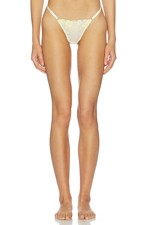 Amelia Thong KAT THE LABEL