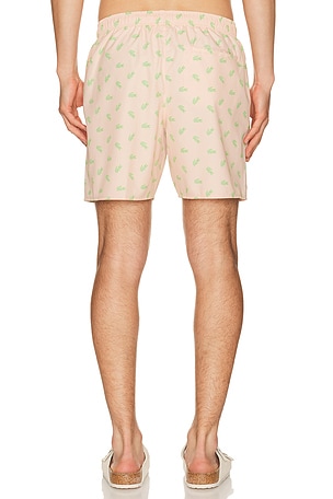 Lacoste Swim Short in Orange