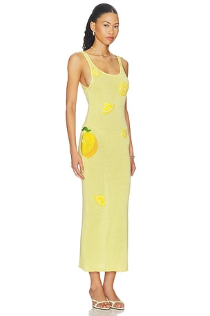 Leslie Amon Citron Tank Knit Maxi Dress in Lemon