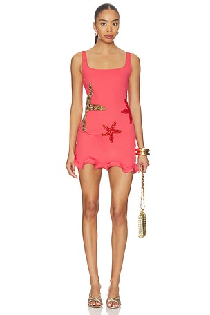 Starfish Mini Dress Leslie Amon